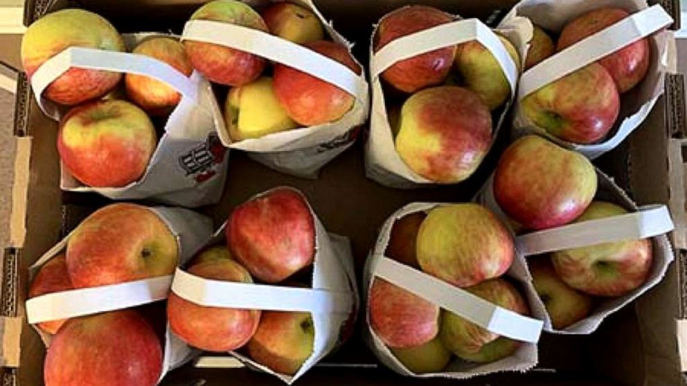 Fuji Apples  Louisiana Fresh