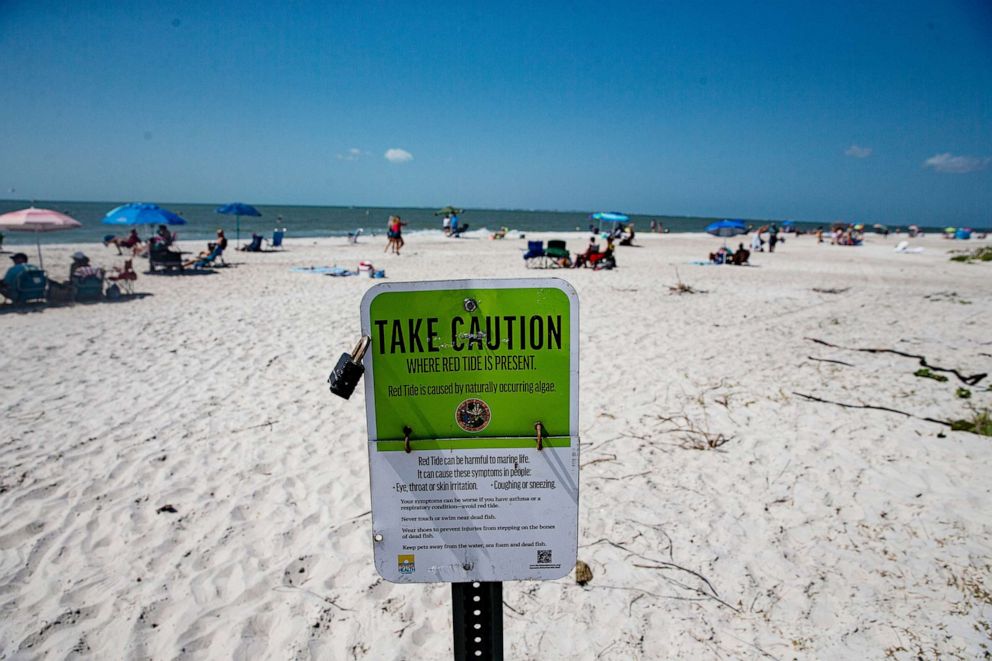 PHOTO: A red tide sign alerts beachgoers at Lynn Hall Park on Fort Myers Beach, March 6, 2023.