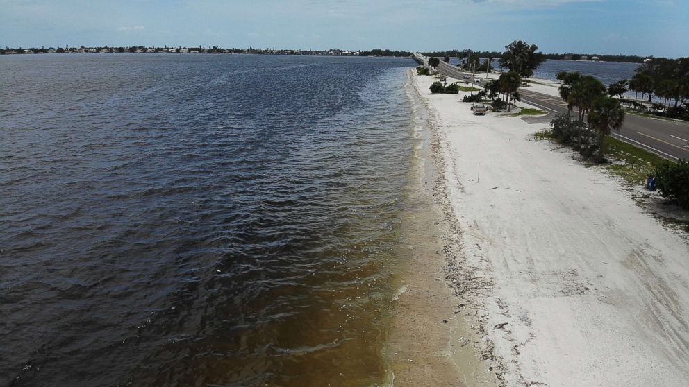 red tide florida map now