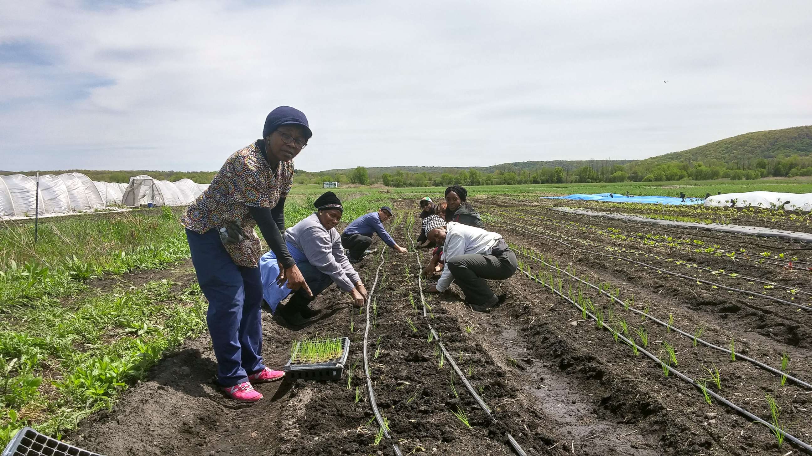 PHOTO: Rose joined New Roots, an International Rescue Committee urban farming initiative where she grows and sells vegetables.