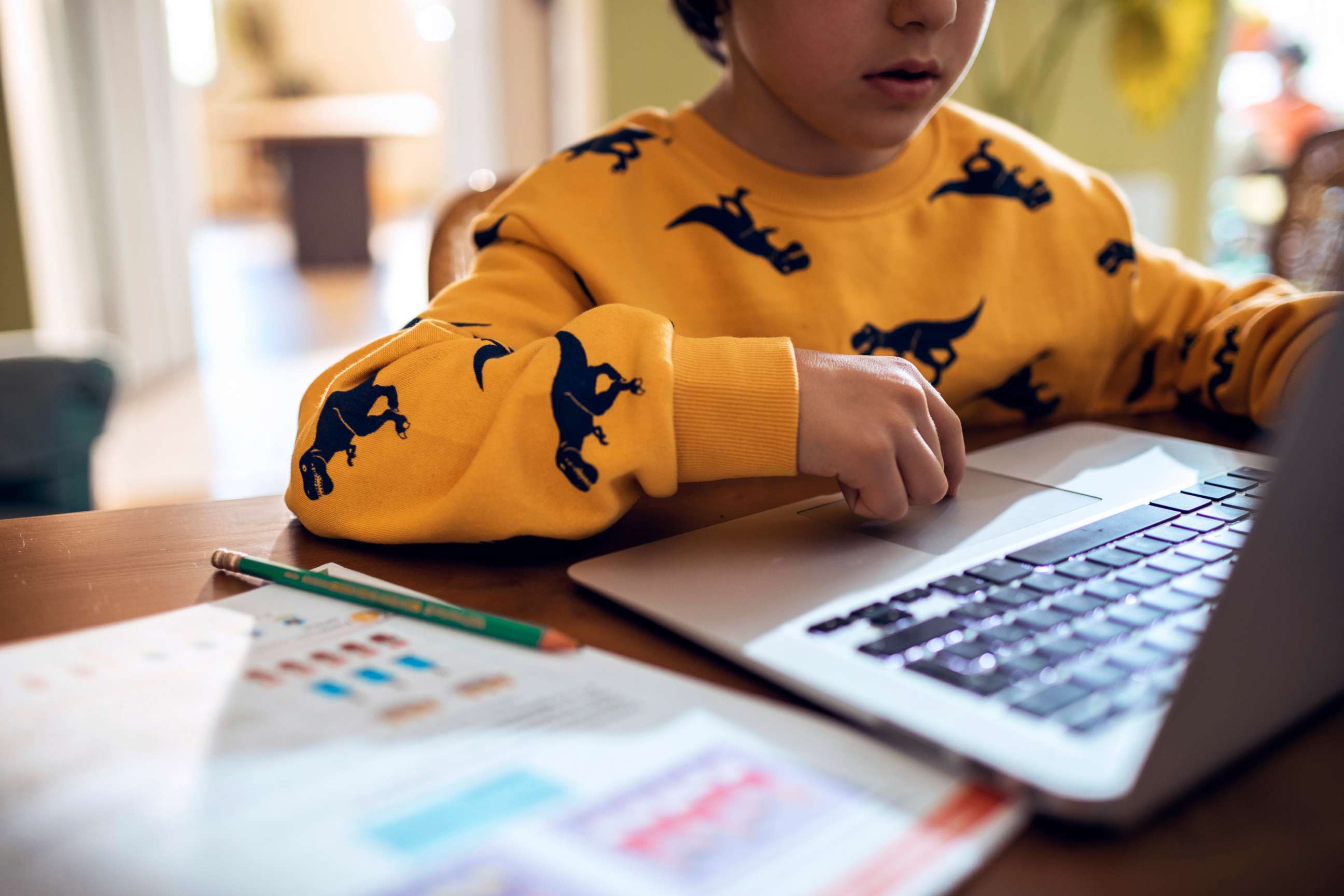 PHOTO: A child uses a laptop while remote learning in this stock photo.