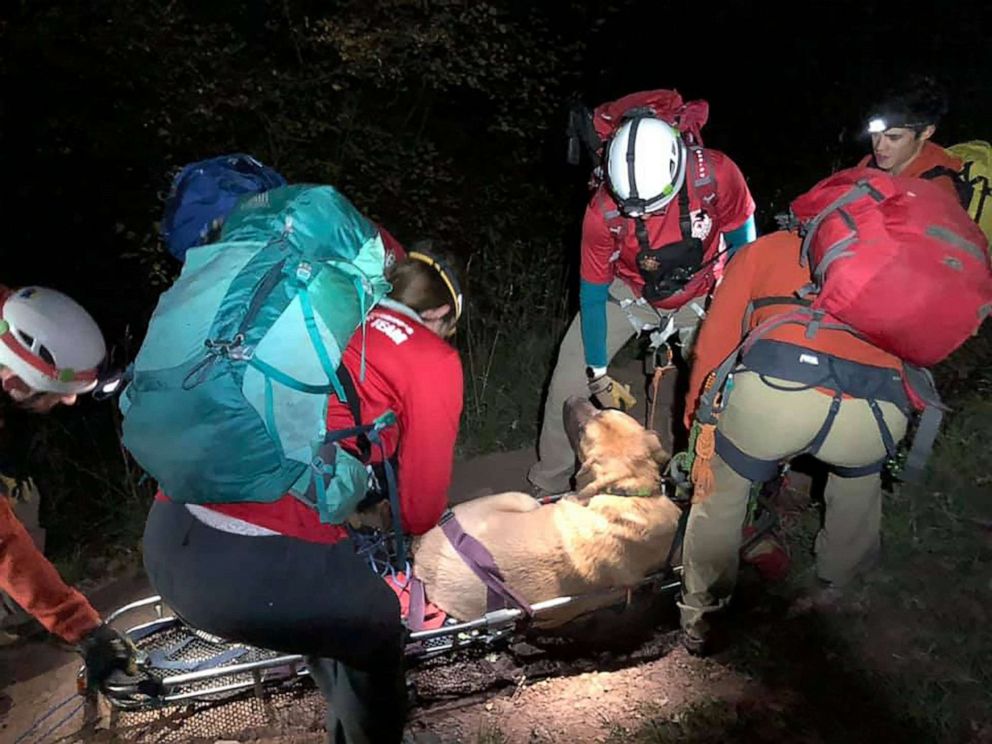 PHOTO: Salt Lake County Search and Rescue members were called to rescue a 190-pound, 3-year-old injured Mastiff on the Grandeur Peak Hiking Trail in Salt Lake County, Utah. 