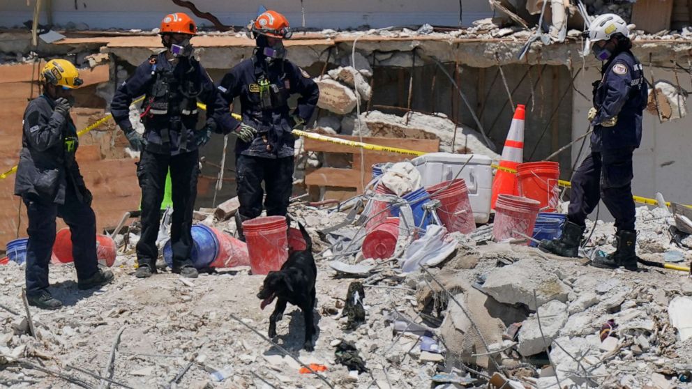 PHOTO: A dog assists search and rescue personnel atop the rubble at the Champlain Towers South condo building, where scores of people remain missing one week after it partially collapsed, July 2, 2021, in Surfside, Fla.