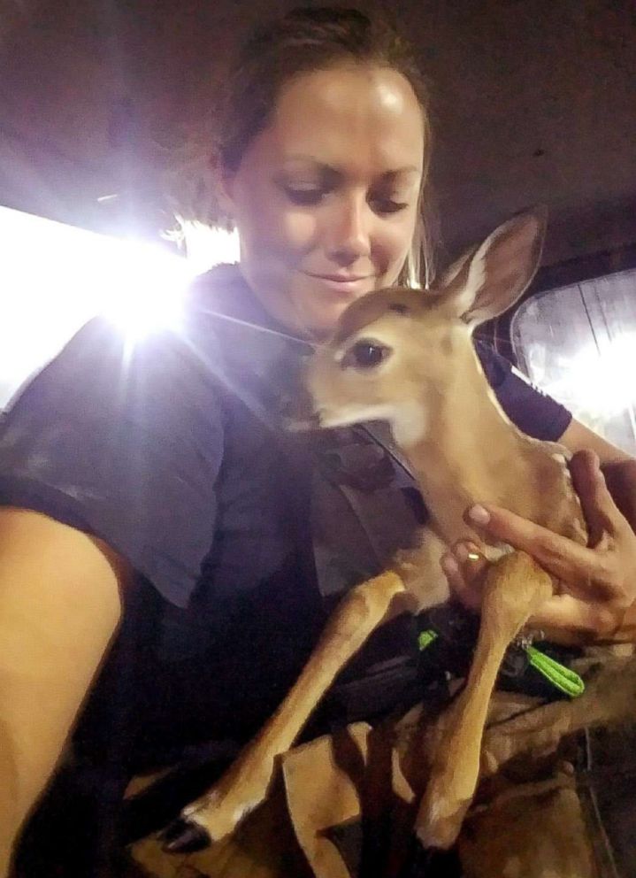 PHOTO: Monroe County Fire Rescue firefighter, Jen Shockley, responded to the Big Pine Key brush fire, April 22, 2018 and rescued an endangered Key deer fawn.