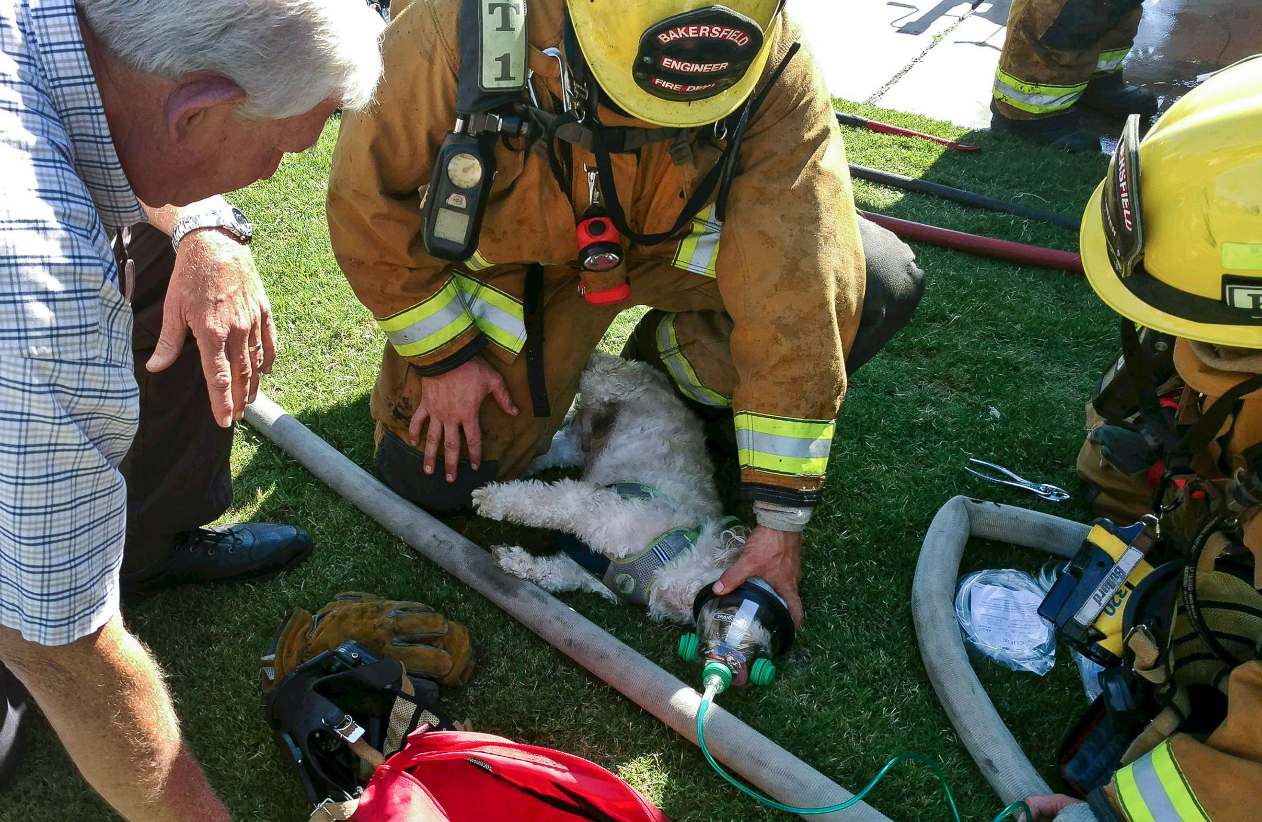 PHOTO: Firefighters provide oxygen to a small dog named "Jack" after pulling him from a burning home on July 19, 2017 in Bakersfield, Calif.