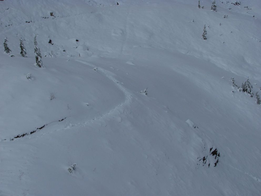 PHOTO: A photo released by the Snohomish County Sheriff's office in Washington shows tracks that their helicopter crew spotted in the snow on the Pacific Crest Trail at 5500-foot elevation during the search for hiker Katharina Groene.