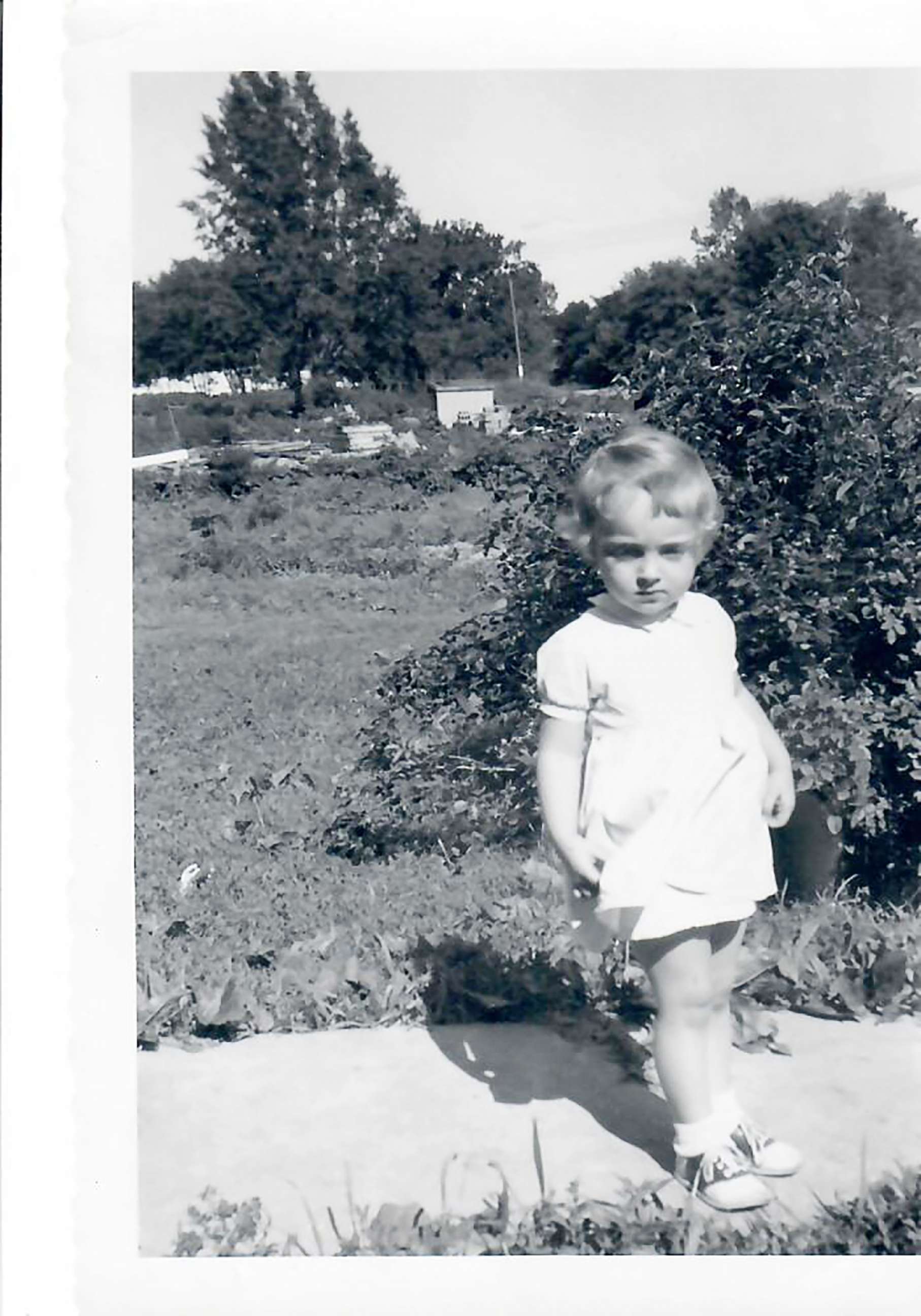 PHOTO: Vicky Love, is pictured in 1954 when she was 3 years old before she and her other two sisters were taken to a foster home. 