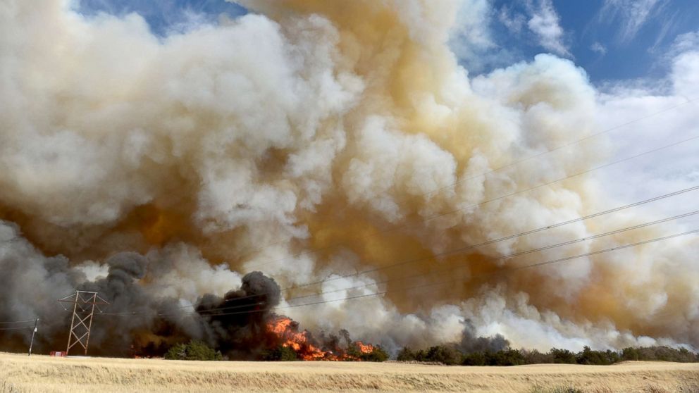 The Rhea fire burns through a grove of red cedar trees near Seiling, Oklahoma, April 17, 2018. 
