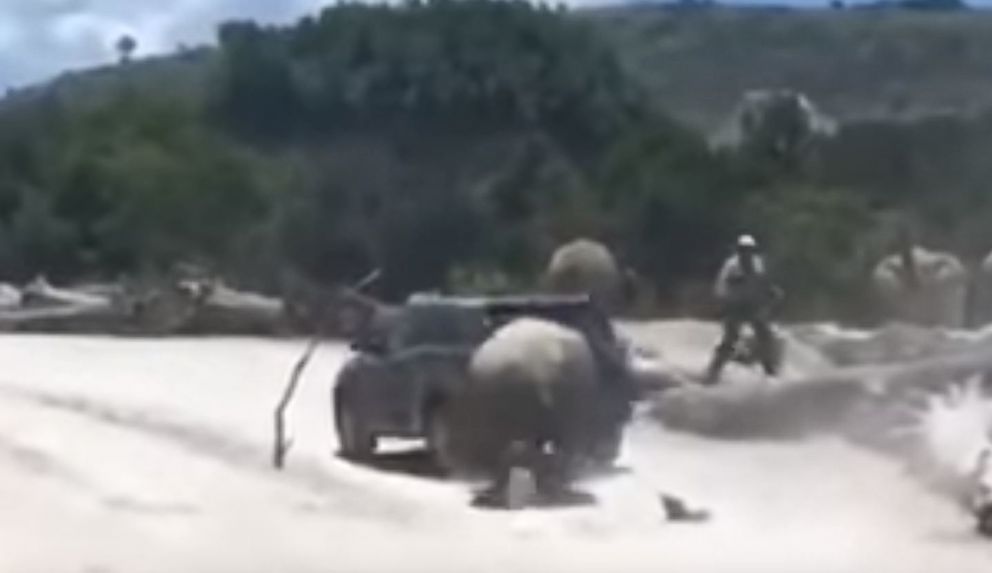 PHOTO: Video shows a male rhinoceros ramming a car at the Africam Safari park in Pueblo, Mexico. 