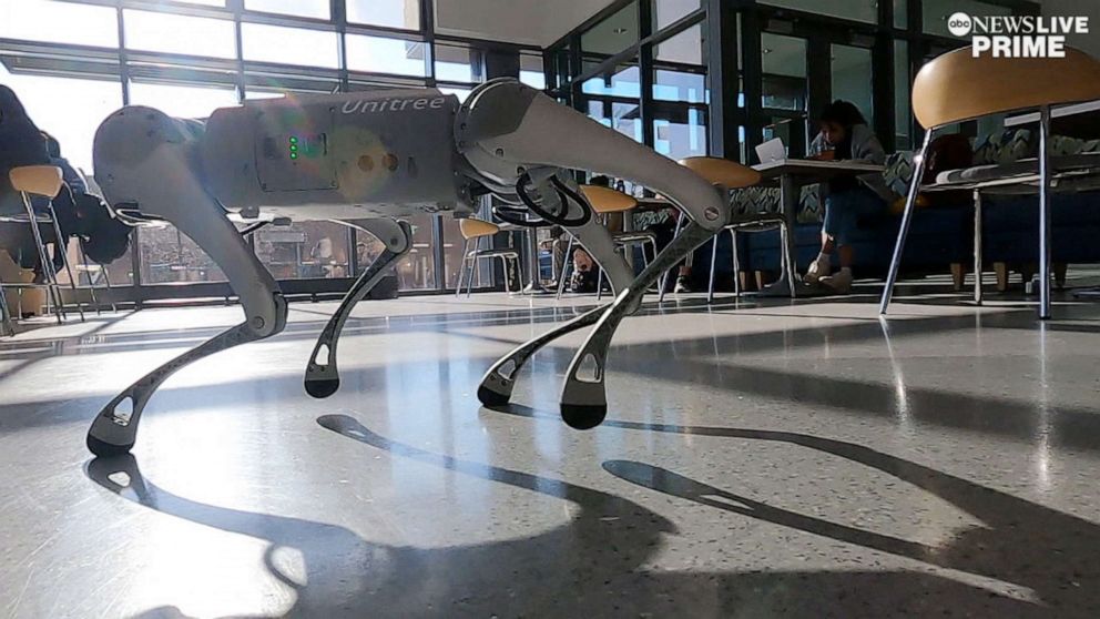 PHOTO: A robot dog walks through the halls of George Mason University.