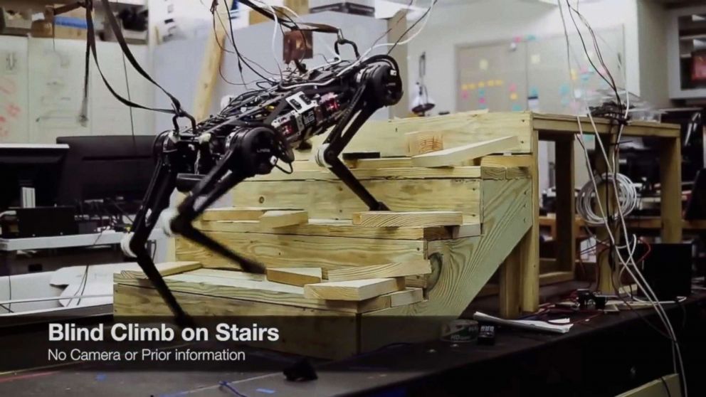 PHOTO: "Blind" Cheetah 3 robot ,which is designed by Sangbae Kim of MIT, climbs up the stair and litters July, 2018. 