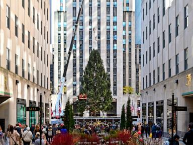 New York City police issue warning ahead of Rockefeller Center tree lighting