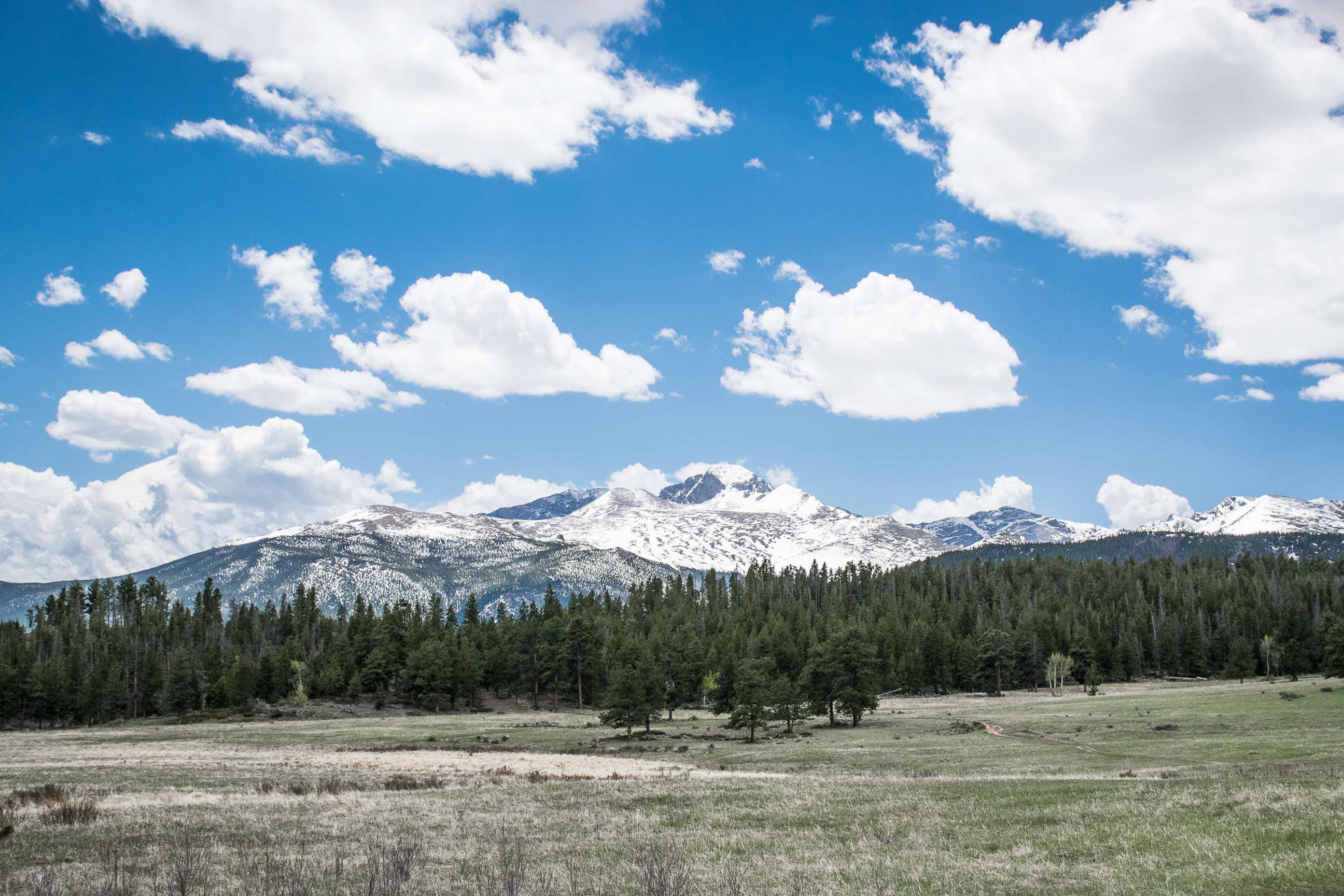 PHOTO: The entrance landscape of the natural hiking trail Upper Beaver Meadows provides a view of the mountains in Rocky Mountain National Park in Colorado.