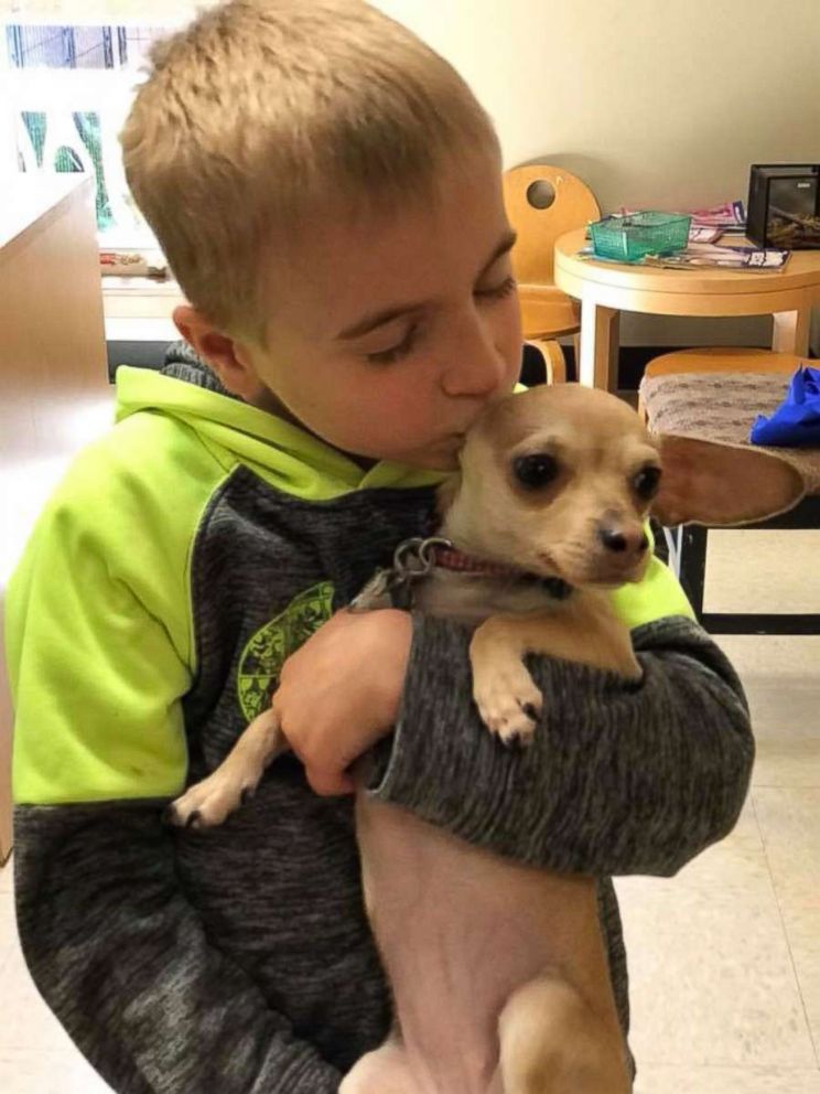 PHOTO: Roman McConn, 7, and his mother have rescued nearly 1,400 dogs with their group Project Freedom Ride.