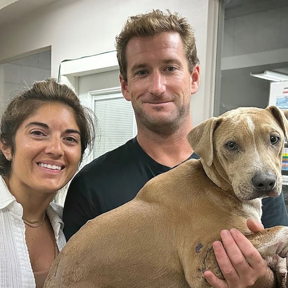 PHOTO: Roman was reunited with his owners after being brought to the Maui Humane Society.