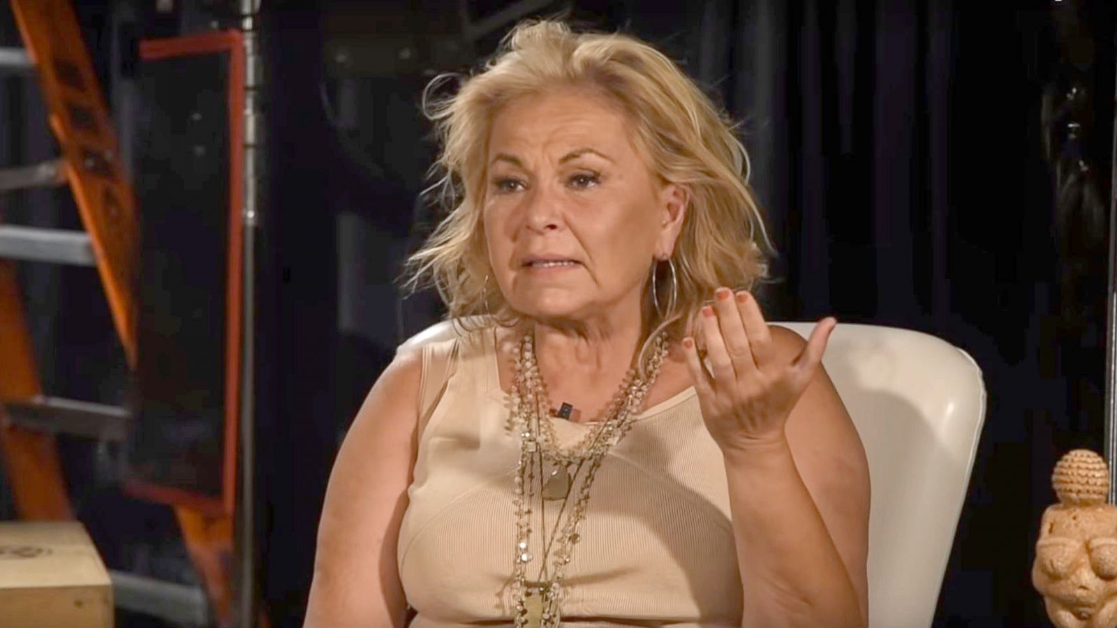 Roseanne Barr rages about ex-Obama official in new video, saying again she  thought Jarrett was white - ABC News