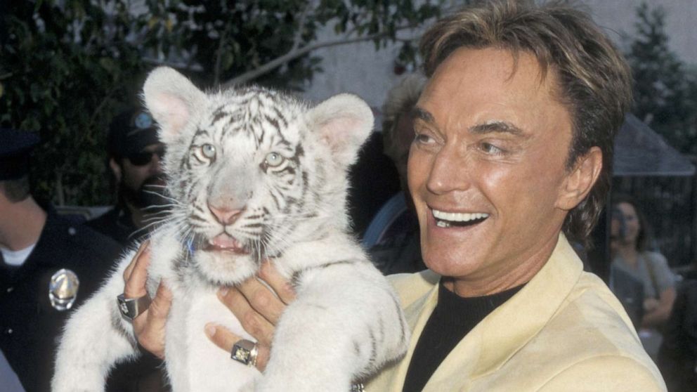 PHOTO: Roy Horn of Siegfried & Roy holds a tiger while receiving a star on the Hollywood Walk of Fame in Hollywood, Calif., Dec. 23, 1999.