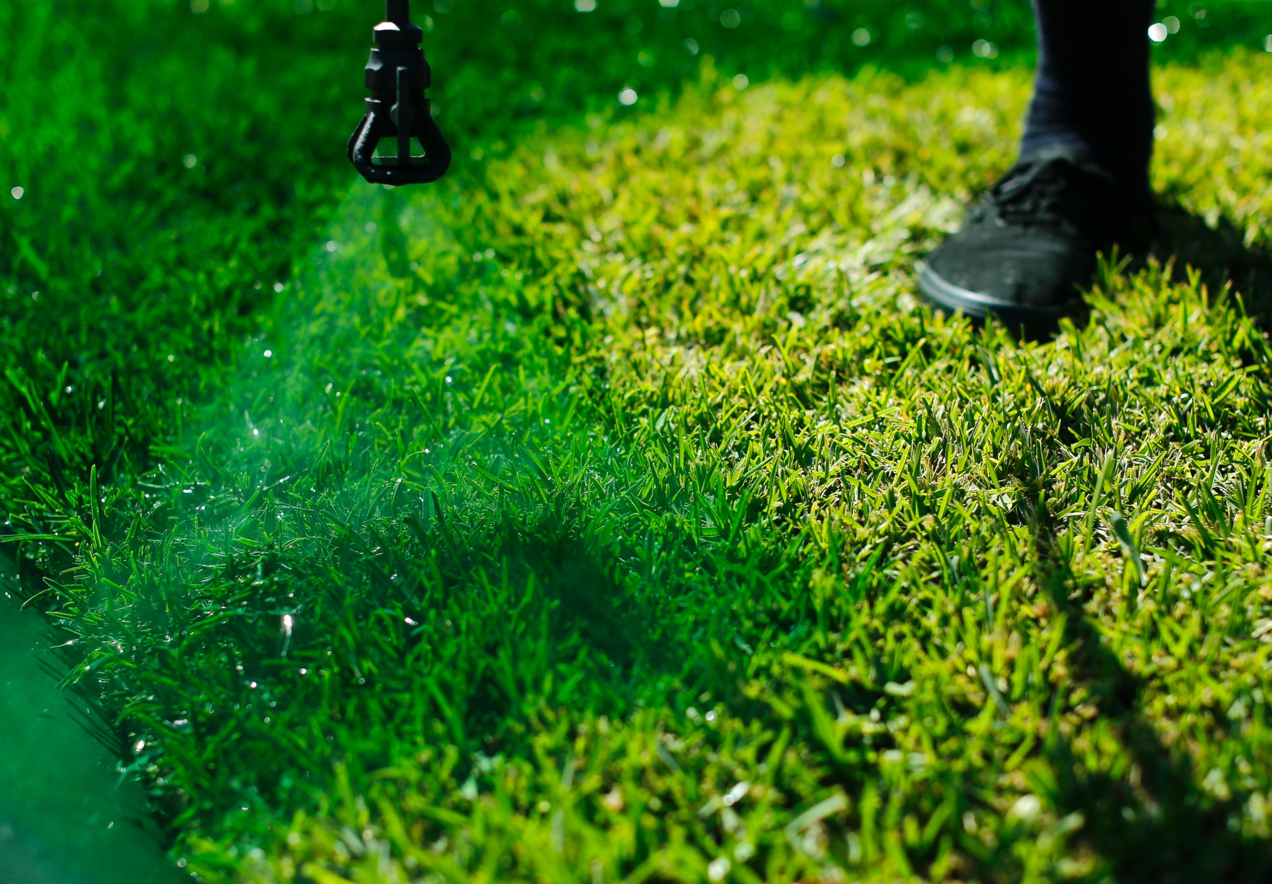 PHOTO: Drew McClellan of A lucky Lawn applies green dye onto drought affected grass at a home in Santa Fe Springs, Calif., Oct. 1, 2014.
