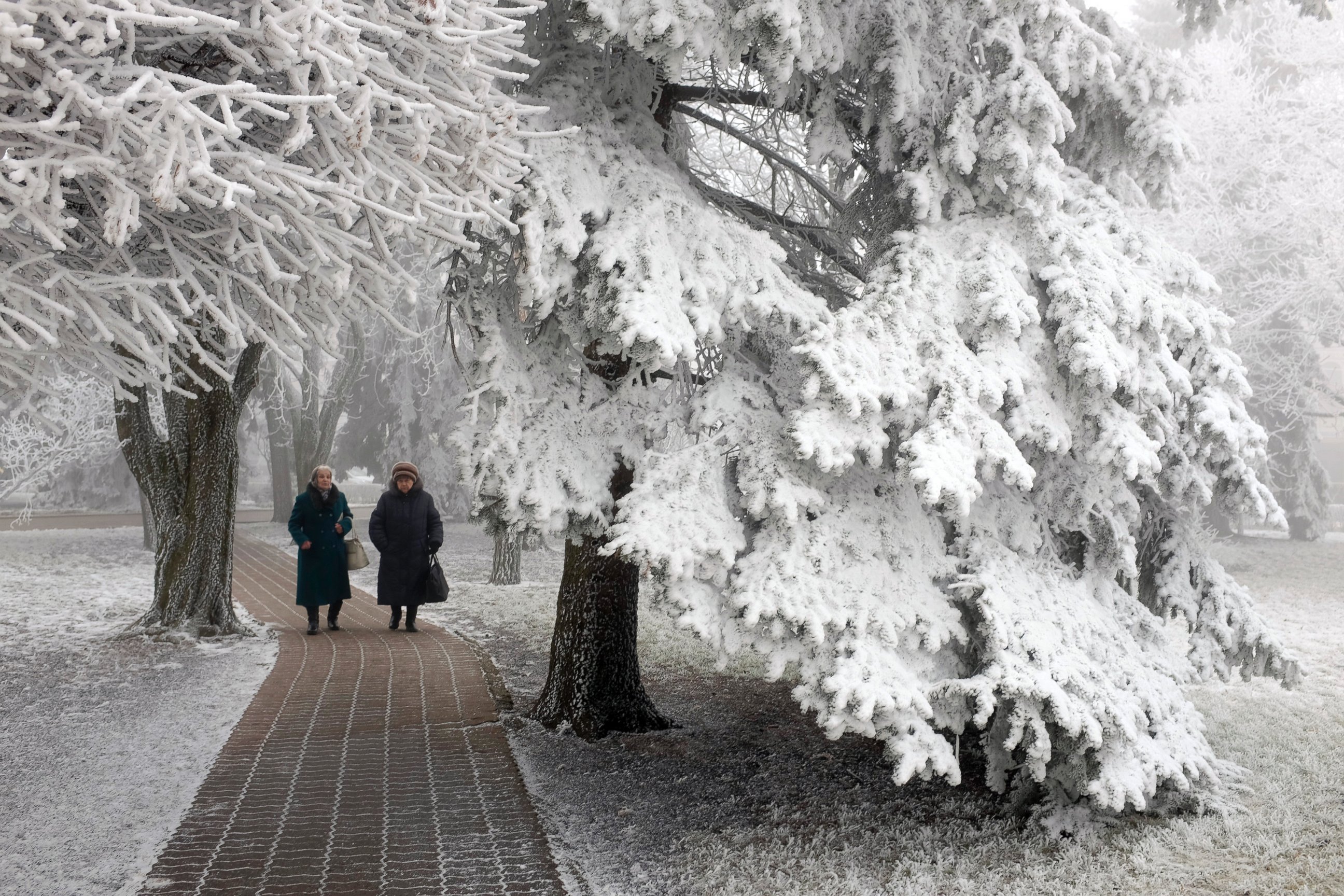 PHOTO: Elderly women walk under snow and ice laden trees at Central Park in Stavropol, southern Russia, Feb. 13, 2015.