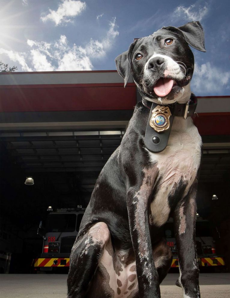 PHOTO: Ruby is a burn survivor.