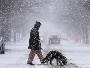 Major winter storm: As blizzards zero in on Midwest, 60M under snow, ice alert