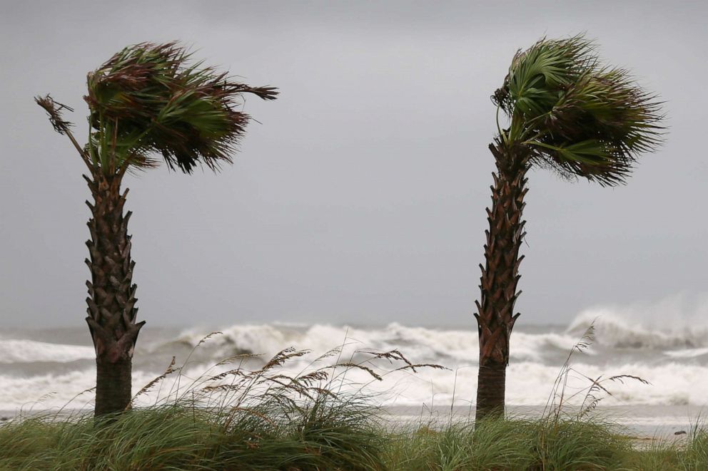 PHOTO: Palm trees sway in the wind as Hurricane Sally approaches in Gulf Shores, Alabama, Sept. 15, 2020.