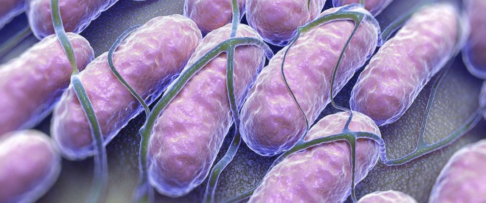 What to know about Salmonella after recent outbreaks have ...