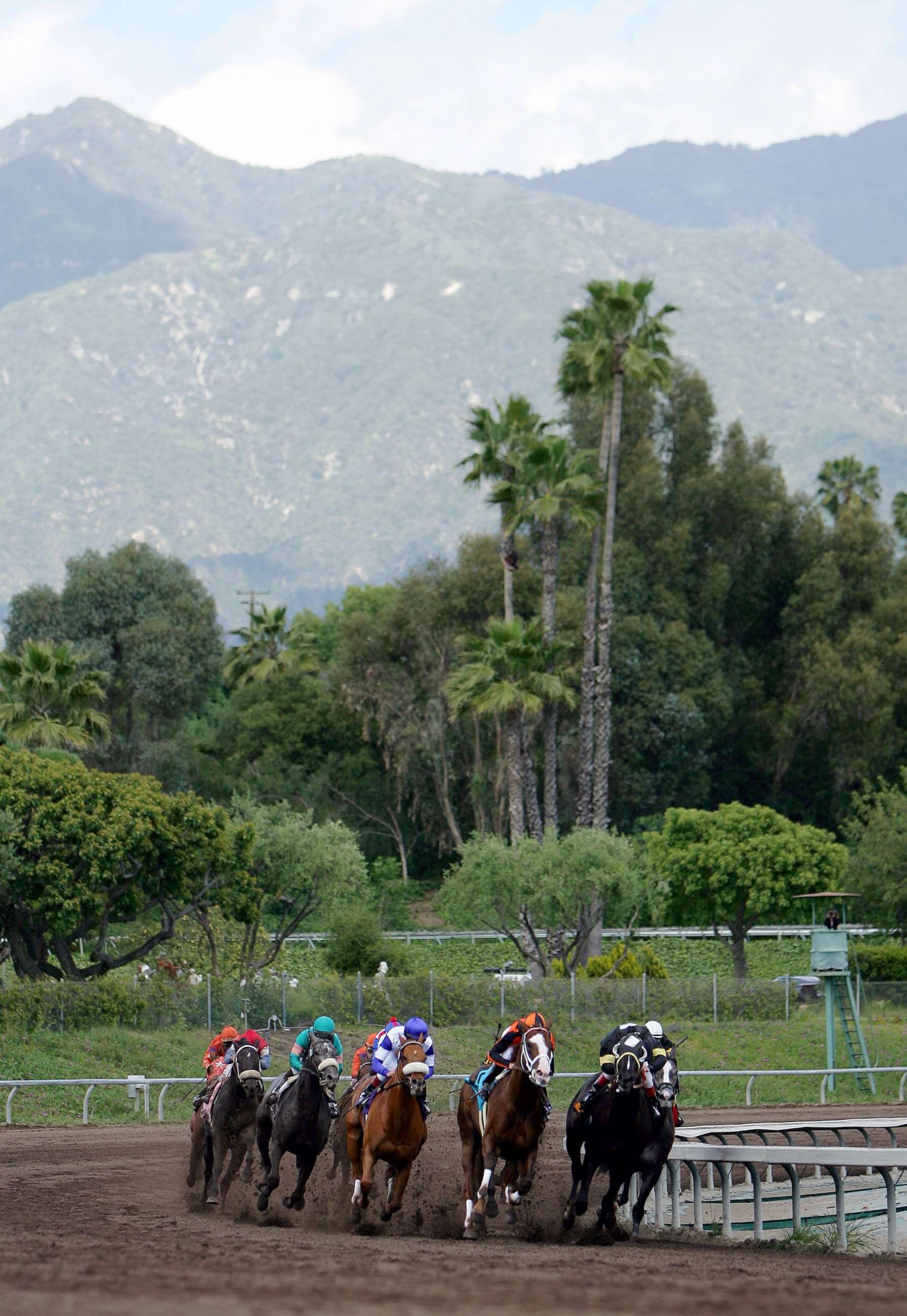 PHOTO: Horses take the final turn during the Santa Anita Derby at Santa Anita Park, April 9, 2005, in Arcadia, Calif.