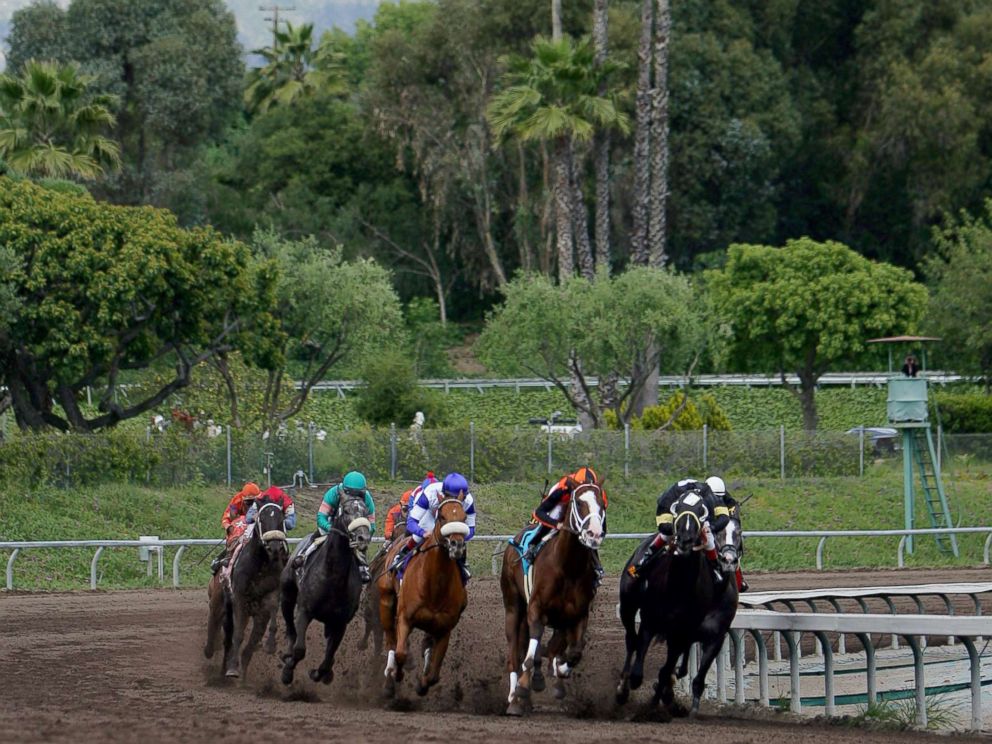 PHOTO: Horses take the final turn during the Santa Anita Derby at Santa Anita Park, April 9, 2005, in Arcadia, Calif.