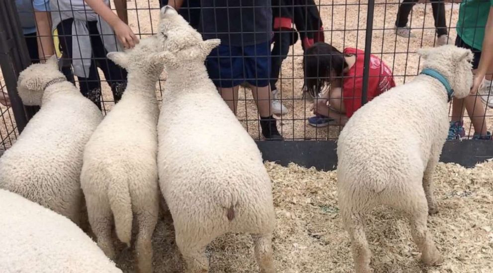 PHOTO: Four children were sickened by E. coli after visiting the petting zoo at the San Diego County Fair in mid-June. One child, a 2-year-old boy, died.
