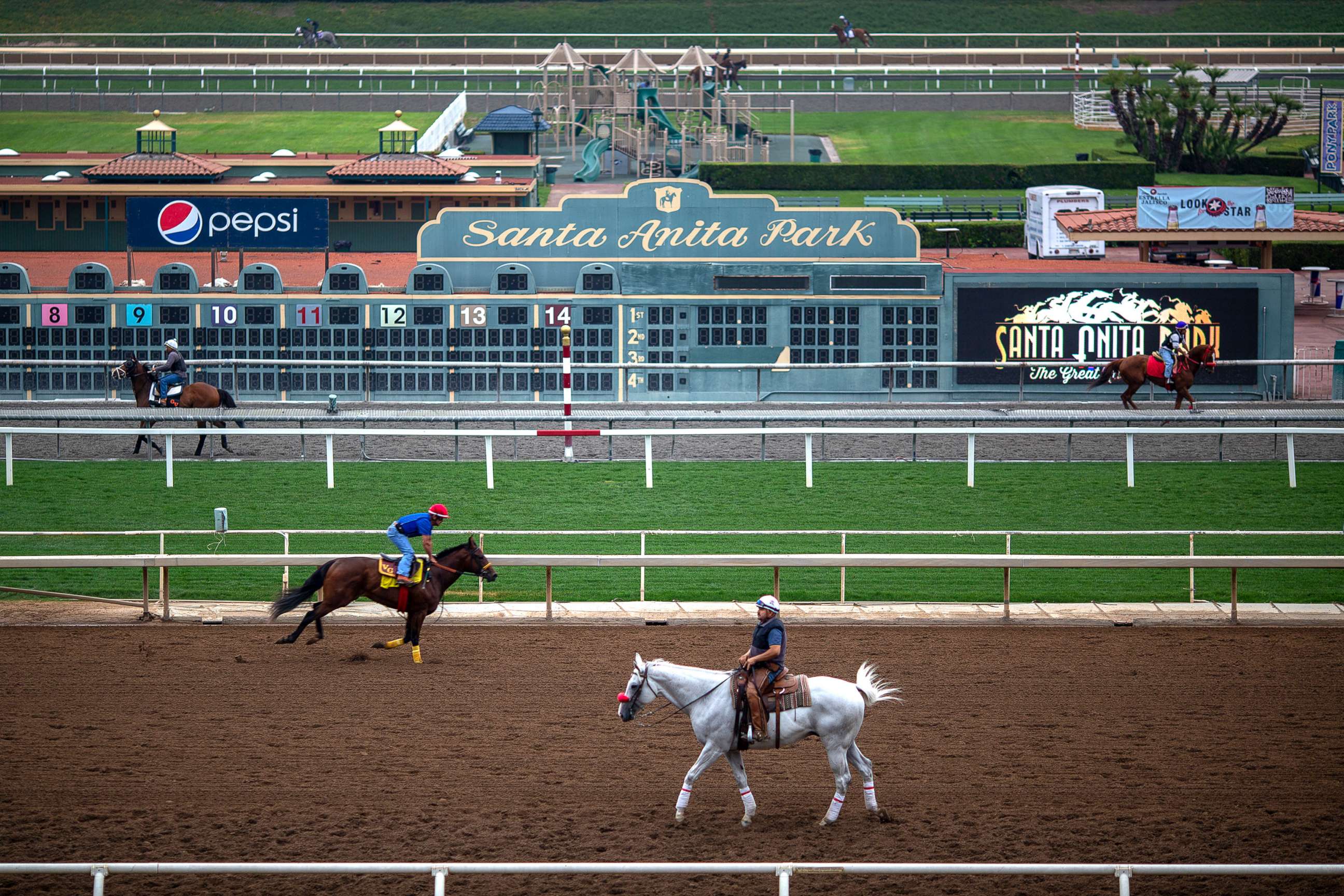 PHOTO: Race horses are seen during their morning workout at Santa Anita Park racetrack, June 15, 2019, in Arcadia, Calif. 
