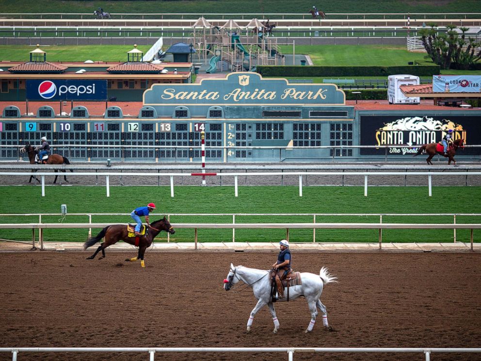 PHOTO: Race horses are seen during their morning workout at Santa Anita Park racetrack, June 15, 2019, in Arcadia, Calif.