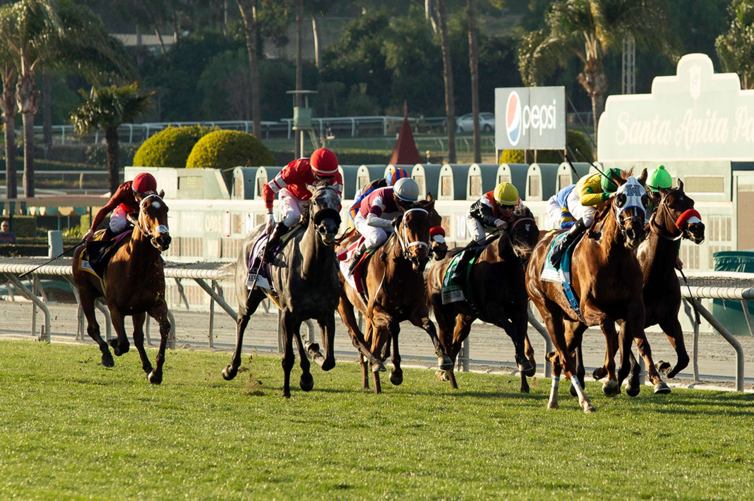 photo: Vasilika, second from right, with Flavien Prat aboard, draws away in mid-stretch and goes on to win the Grade II, $200,000 Buena Vista Stakes horse race, Feb. 23, 2019, at Santa Anita Park in Arcadia, Calif.