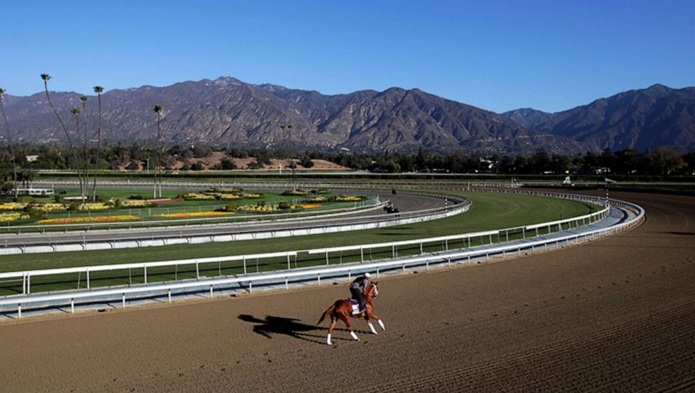 PHOTO: FILE - In this Oct. 30, 2013, file photo, an exercise rider takes a horse for a workout at Santa Anita Park with palm trees and the San Gabriel Mountains as a backdrop in Arcadia, Calif. 