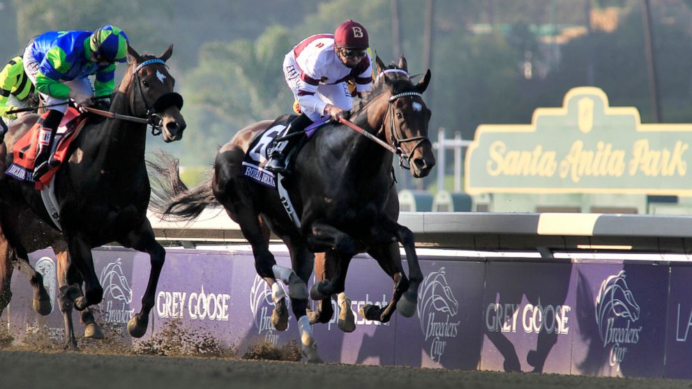 PHOTO: Jockey Mike Smith aboard Royal Delta, right, is in the lead during the Breeder's Cup Ladies' Classic at Santa Anita Park, Nov. 2 2012, in Arcadia, Calif.