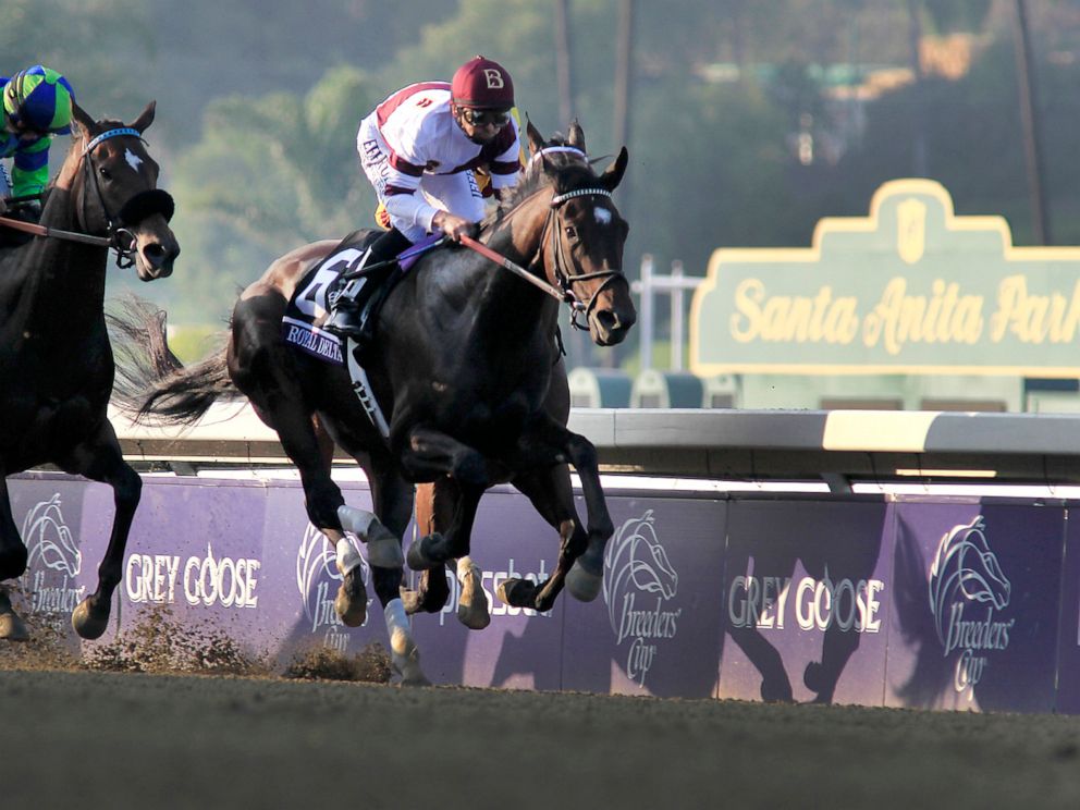 PHOTO: Jockey Mike Smith aboard Royal Delta, right, is in the lead during the Breeders Cup Ladies Classic at Santa Anita Park, Nov. 2 2012, in Arcadia, Calif.