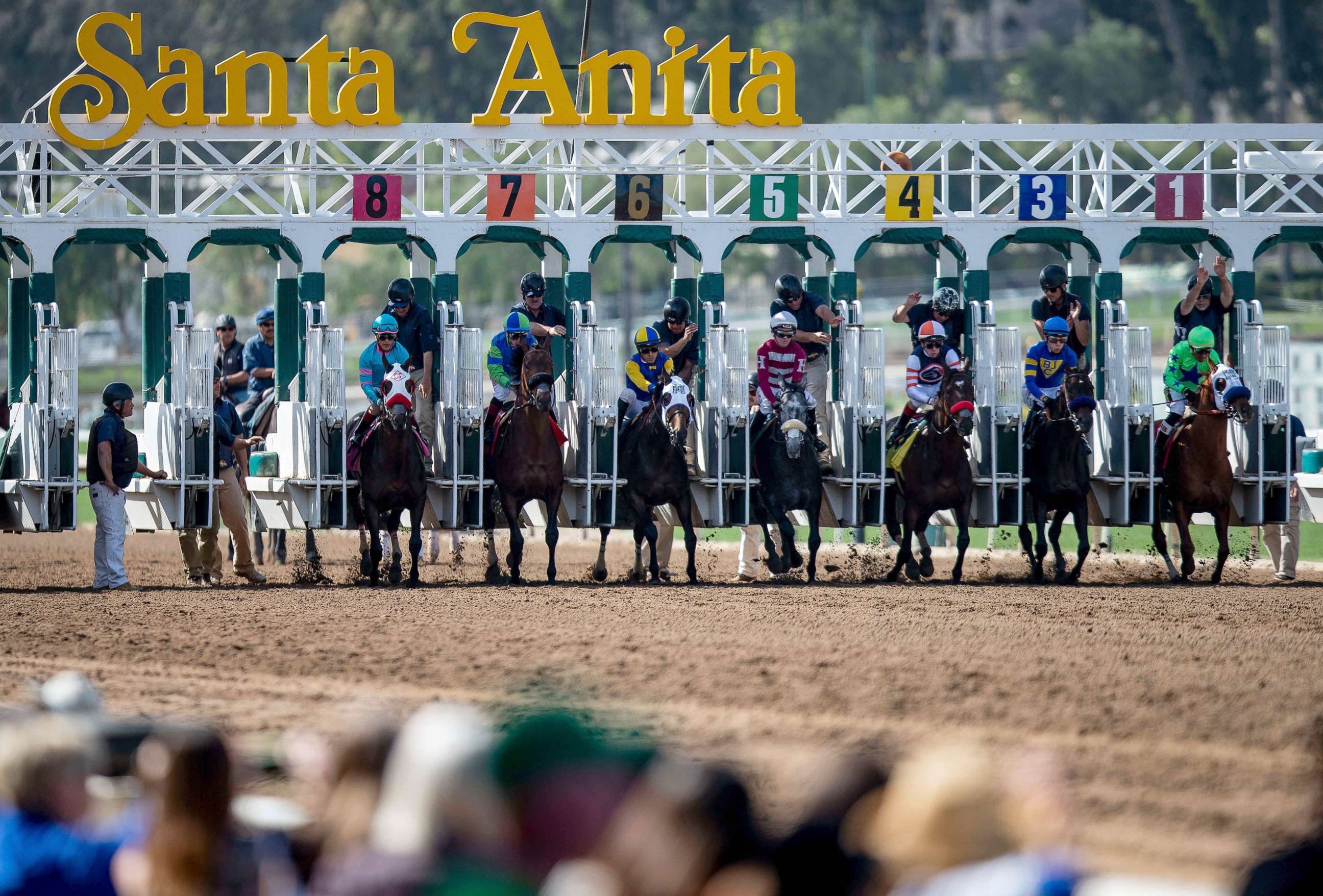 PHOTO: The field for the 6th race breaks from the starting gate as fans look on at Santa Anita Park, March 29, 2019, in Arcadia, Calif.