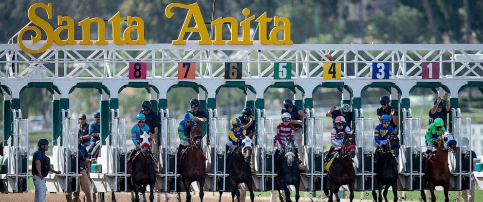 Task force to investigate Santa Anita track where 23 racehorses died