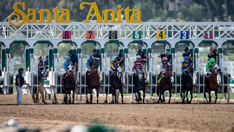 Task force to investigate Santa Anita track where 23 racehorses died ...