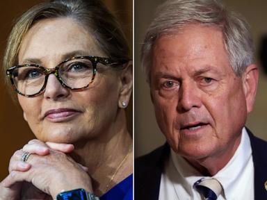 Darline Graham, Ralph Norman vie to replace Lindsey Graham on ballot
