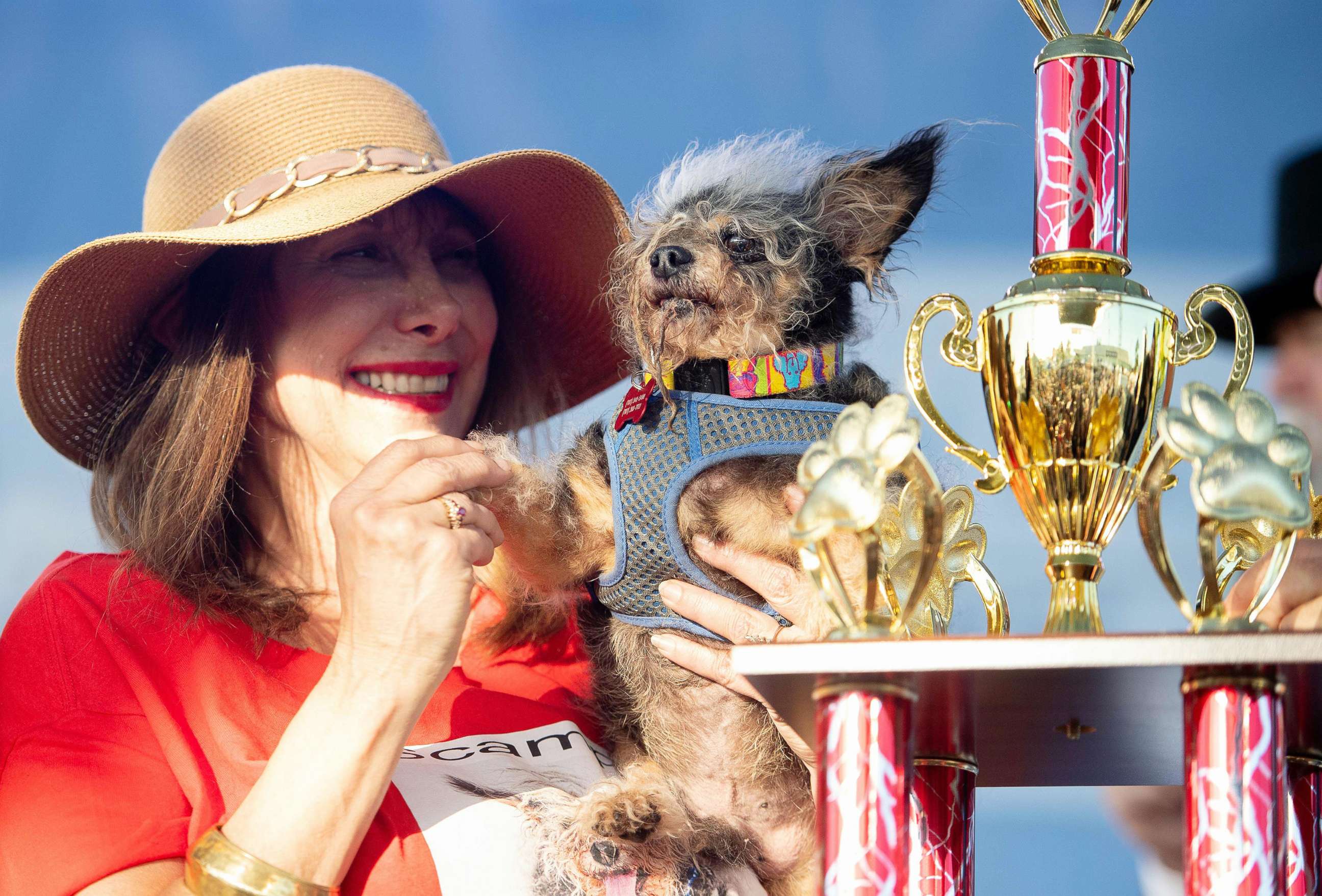 PHOTO: Darlene Wright holds up Scamp the Tramp as it is announced that he won first prize in the World's Ugliest Dog Competition in Petaluma, Calif., June 21, 2019.