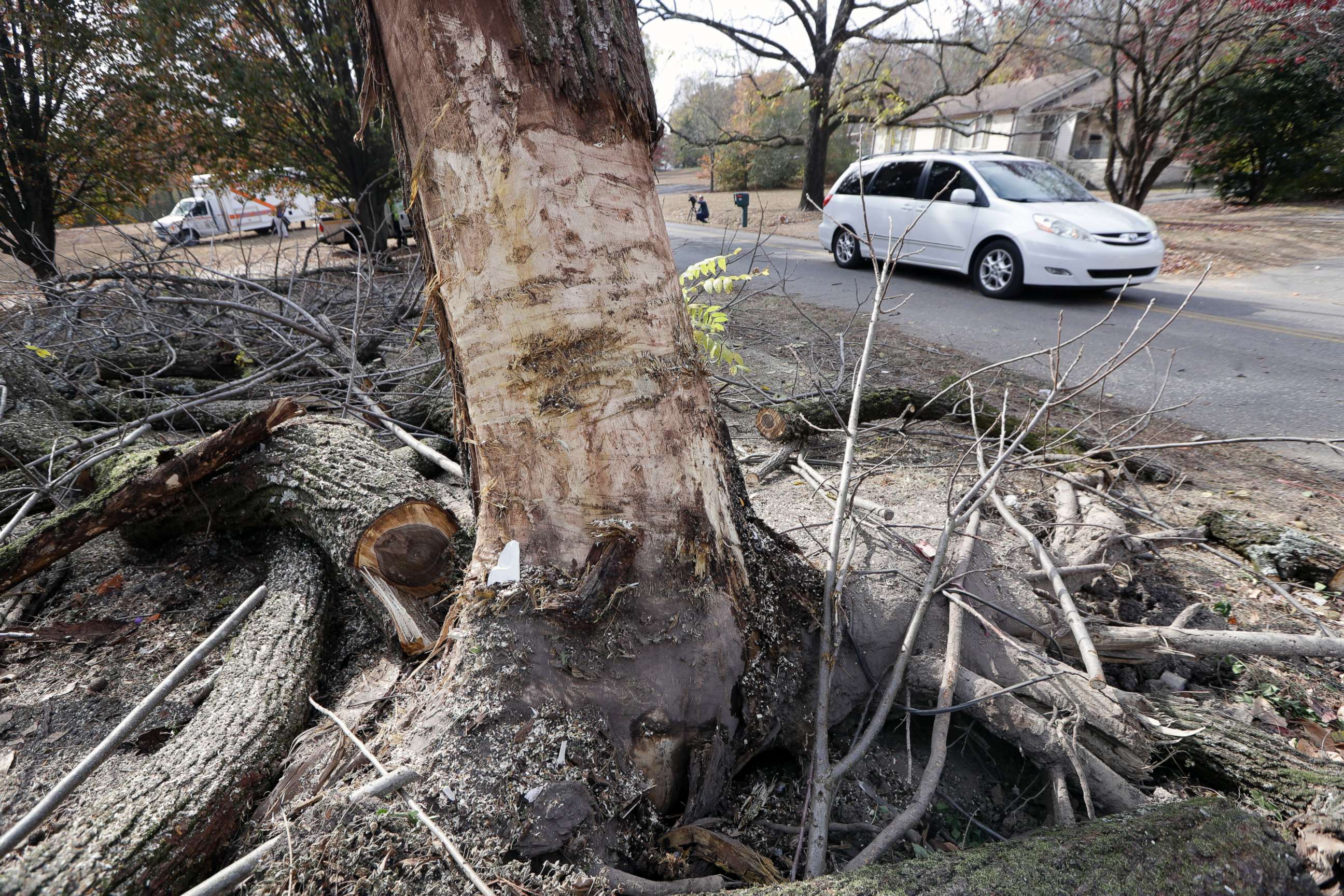 PHOTO: Traffic passes a tree that was hit by a school bus in Chattanooga, Tenn., Nov. 22, 2016. The bark of the tree was stripped off during the crash.