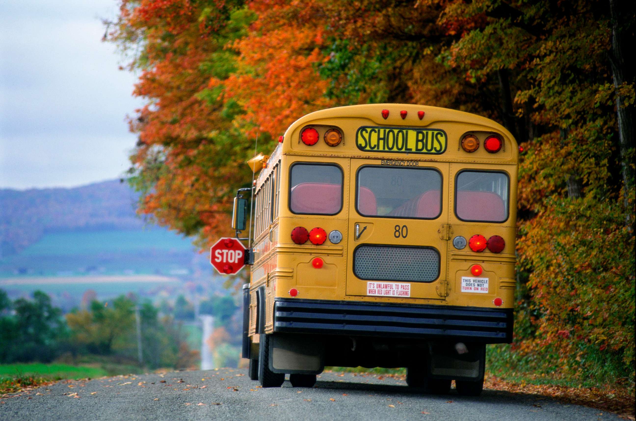 PHOTO: This stock photo depicts a school bus stopping on a road.