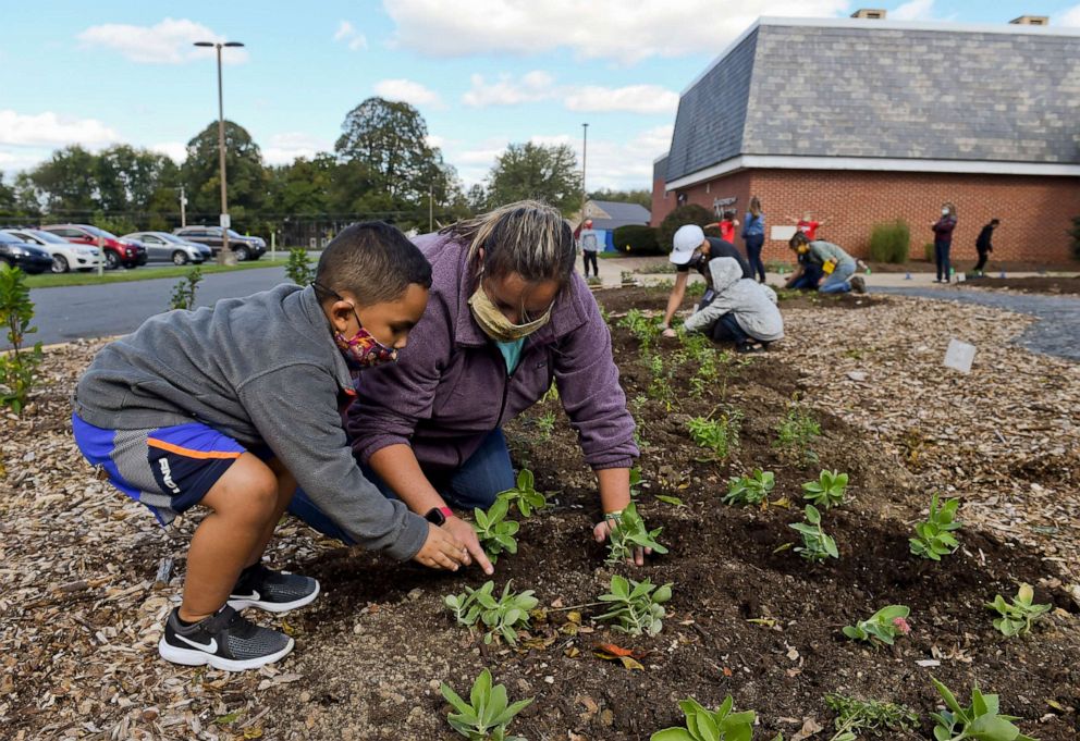 PHOTO: Kindergarten student Jaden Hite, 5, helps teacher Ainsley Matz with plants at the Andrew Maier Elementary School in Blandon, Pa., Oct. 8, 2020, to plant trees and native plants in an area that will be available as an outdoor classroom.