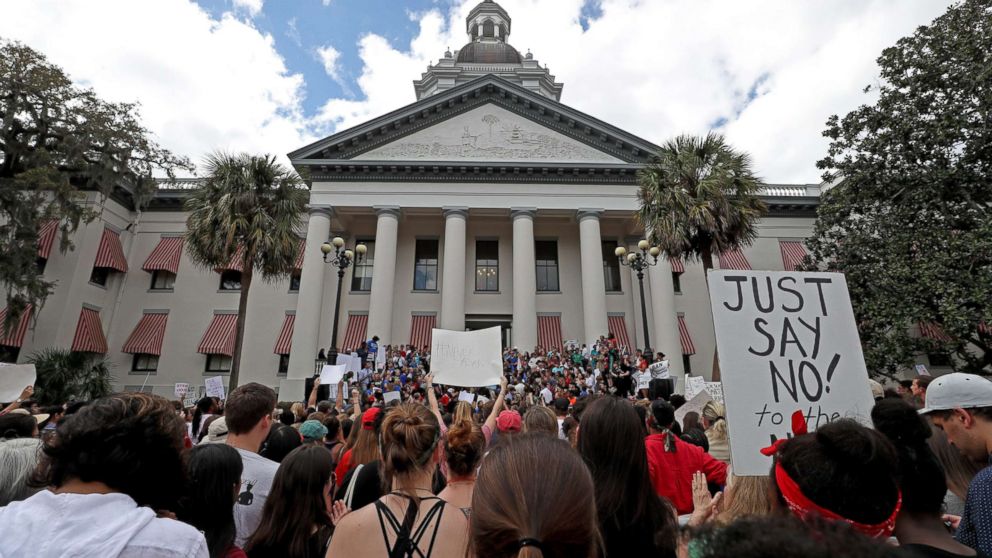 PHOTO: The Tallahassee community attends a gun control rally on the Capitol steps. 
