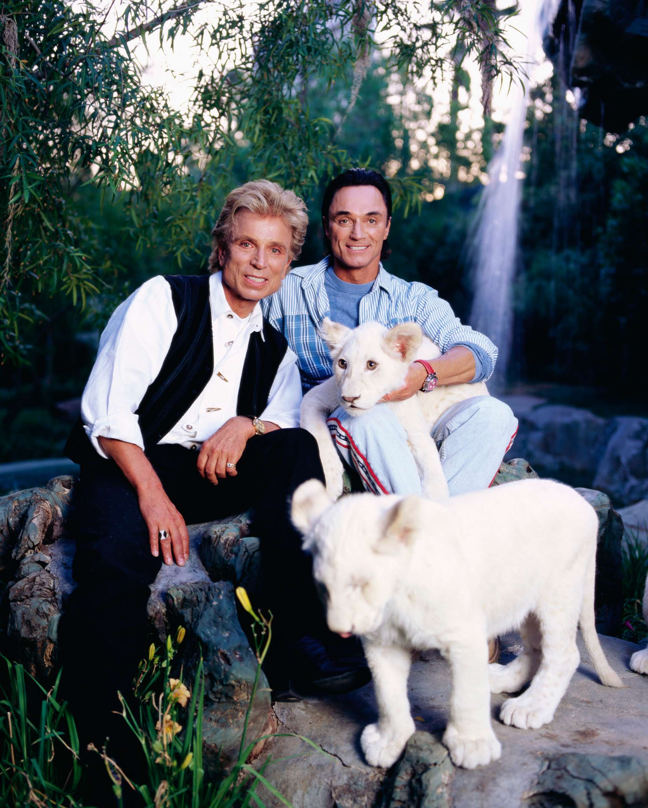 PHOTO: Siegfried Fischbacher, left, and Roy Horn of the longtime Las Vegas illusionist duo Siegfried & Roy, pose with their white lion cubs, circa. 1997.