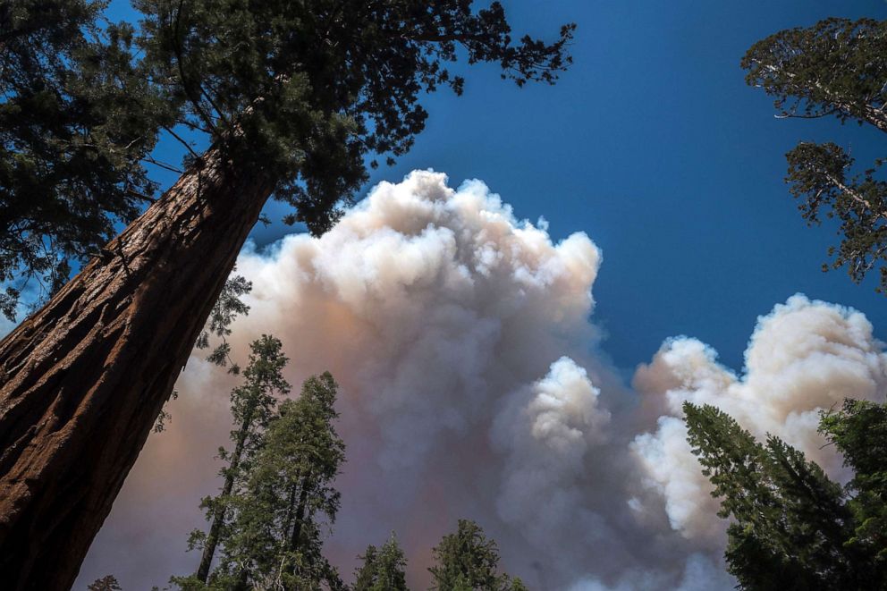 PHOTO: A large plume from the Washburn Fire rises over Mariposa Grove in Yosemite National Park, Calif., on July 11, 2022.