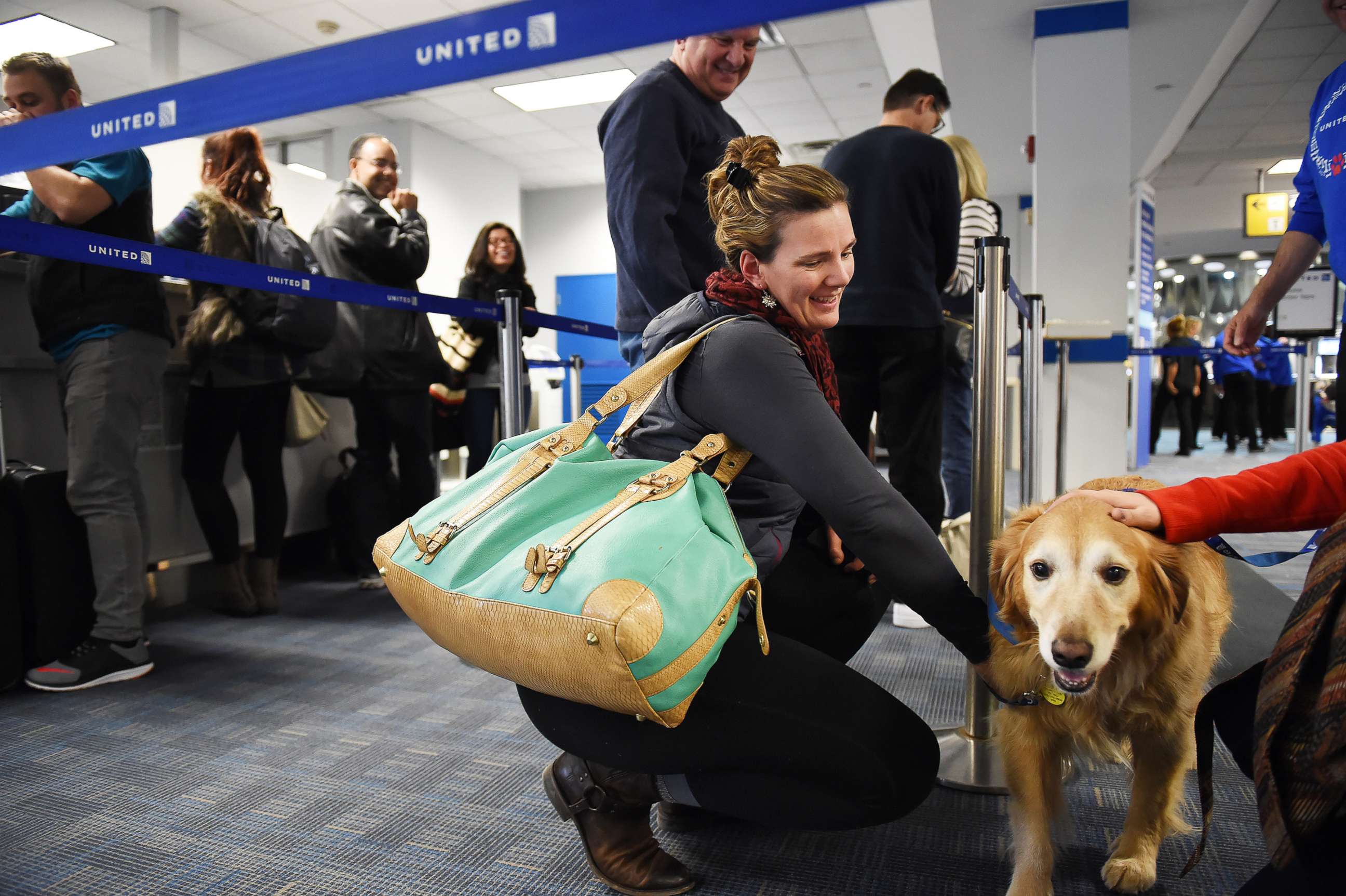 PHOTO: A woman pets a golden retriever that was part of United Paws, a United Airlines program that allows passengers to interact with comfort dogs at Washington Dulles International Airport in Dulles, Va., Dec. 21, 2015.