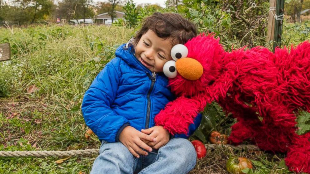 VIDEO: Beloved 'Sesame Street' characters teach children how to deal with trauma 