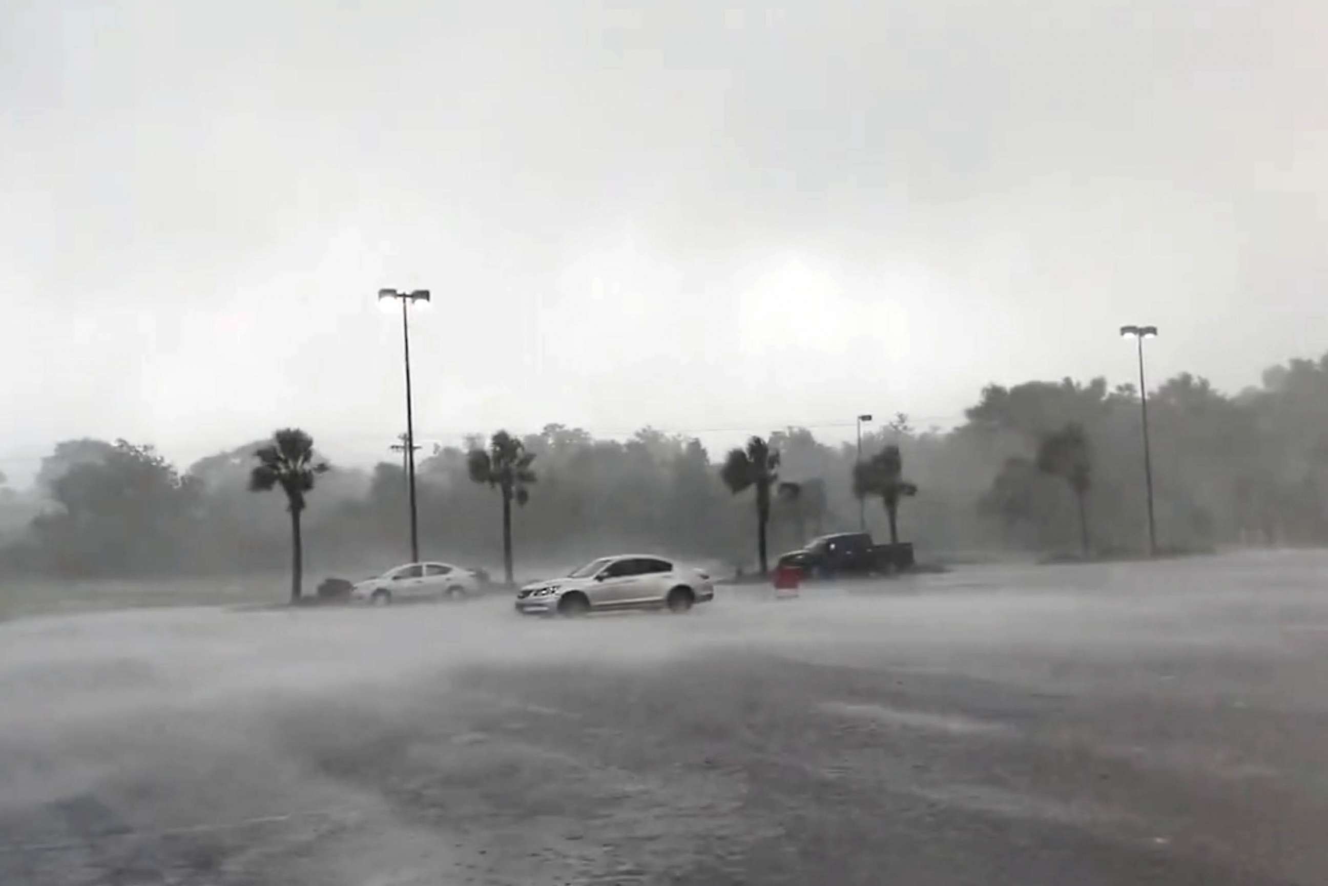 PHOTO: Heavy wind in Tallahassee Florida